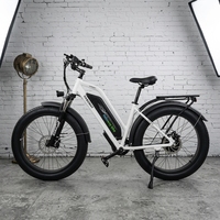 Vélo électrique tout-terrain à pneus larges 26*4.0, moteur brushless 500W, batterie lithium 48V 10.4Ah, cassette 7 vitesses, cadre en aluminium