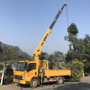 Grue montée sur camion CANMAX 6*4 4*2 de marque chinoise, bon prix à vendre - Product Image 2
