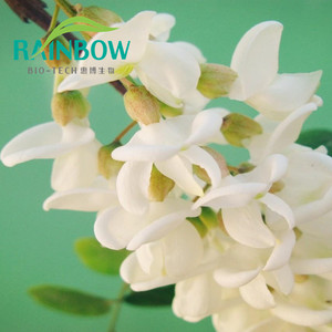Estratto di Sophora Japonica Naturale in Plastica a Basso Prezzo, <span class=keywords><strong>Quercetina</strong></span> - Product Image 2