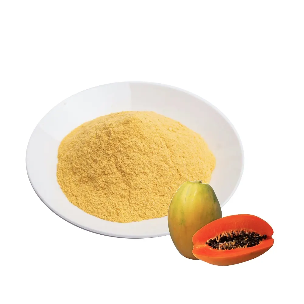 Commercio all'ingrosso di alta qualità essiccato a spruzzo istantaneo succo di Papaya in polvere