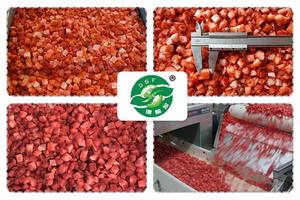 Helado de <span class=keywords><strong>Fresa</strong></span> con Certificación HACCP al Mejor Precio para Yogur y Postres, IQF, Dulce y Ácido - Product Image 4