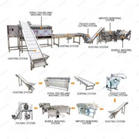 Kleine Schaal Cassave Verwerking Plant Garri Productielijn Gari Verwerking Machine In Nigeria