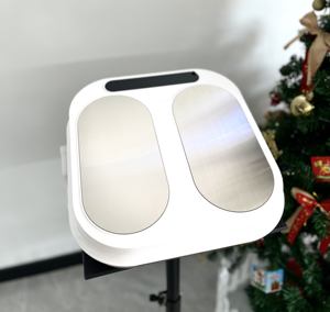 Terapia Profesional de Bioenergía para Pies, Alivio del Dolor, Estimulador de la Circulación, Thz Tera P90 <span class=keywords><strong>Plus</strong></span>+, Desintoxicación y Metabolismo - Product Image 1