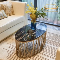 Table basse de style nordique, luxe léger, minimaliste et moderne, idéale pour les petites maisons ; ovale en acier inoxydable et marbre pour salon