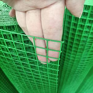 Grillage soudé en PVC vert de 2,5 mm à mailles hollandaises avec des mailles de 1 pouce, rouleau de 5 pieds x 10 m - Product Image 1