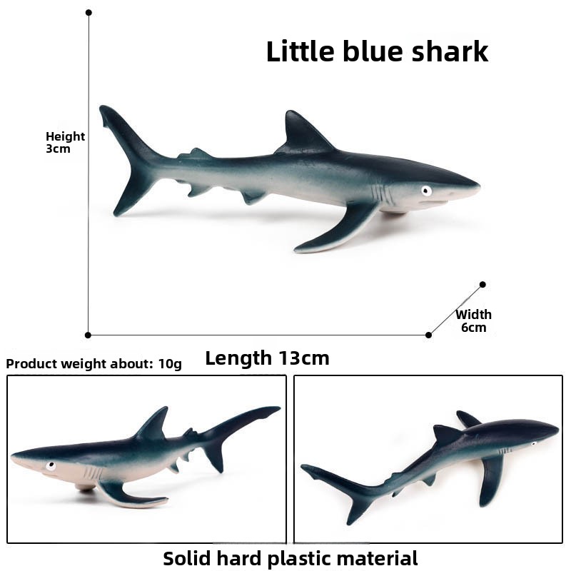 Petit Shar-4039 bleu