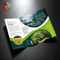 Impression de brochures, dépliants, prospectus, service de conception de prospectus A5, conception de prospectus numériques, étiquettes volantes, impression de prospectus et de flyers