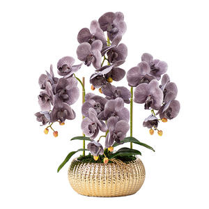 결혼식 장식용 꽃과 식물 금색 화분 인조 백난초 장식용 꽃 난초 식물 판매 - Product Image 3