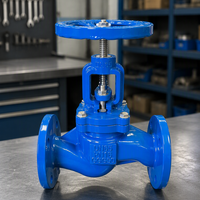 Vanne de régulation PN16 DN100 à brides en fonte ductile GGG50 pour système de distribution d'eau de centrale de chauffage collectif