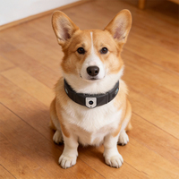 Traceur GPS pour chien, suivi en temps réel, positionnement précis, lecture de l'historique des trajets, clôture électronique, étanche IP66, compatible Android/iOS