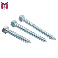 Hot Selling DIN571 4.8 Grade M4-M16 Zinc Plated Hexagon Wood Screw Wood Fastener