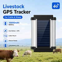 Traceur GPS étanche IP67 pour bétail avec prise en charge LBS et PC pour positionnement en temps réel, gestion du pâturage, lecture des itinéraires et géolocalisation
