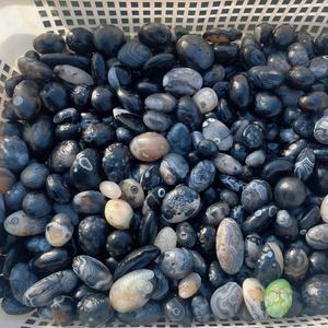 卸売ゴビ瑪瑙タンブルハートジビービーズヒーリングクリスタルクォーツタンブル装飾用クラフト - Product Image 3