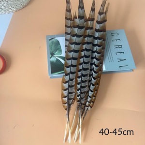 Nhà Máy Bán buôn vàng gà lôi đuôi lông giá tốt gà lôi lông cho lễ hội trang phục - Product Image 5