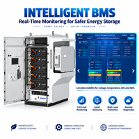 Sistem Tenaga Luar Ruangan ESS Industri Komersial LiFePO4 50-300kWh dengan Pendingin Cairan 125kW PCS Manajemen Penyimpanan Energi Cerdas