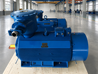 Motor Anti Ledakan Kelas F Isolasi Tahan Suhu Rendah Zona Satu Area Motor Anti Ledakan 132KW 55KW