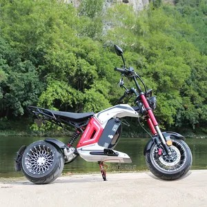 Sepeda motor dua roda harga rendah 3000w 60v 20aH untuk dewasa roda besar kuat Off Road COC skuter citycoco ebike