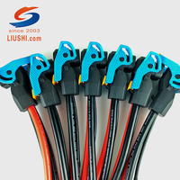 Adaptor Baterai Sepeda Motor Listrik Liushi 2+9 Konektor Pria/Wanita 120A Inti Tembaga Selubung Silikon Kabel Nilon