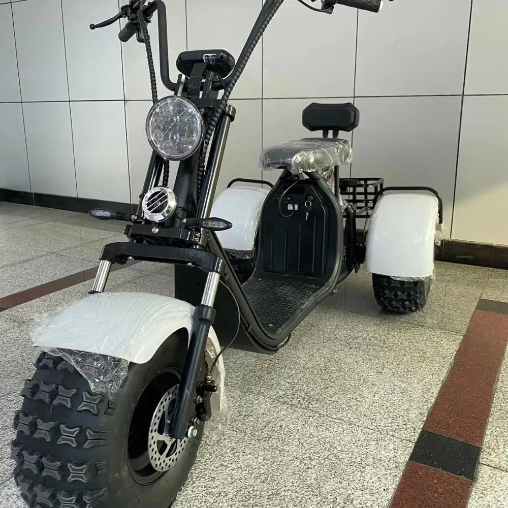 2020 внедорожные шины 1000w/1500w/2000w для пляжного автомобиля скутер с толстыми покрышками 3-х колесный Электрический трехколесный велосипед citycoco