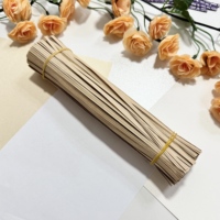 Attaches en papier kraft pré-coupées Fanxing, écologiques, blanches et brunes, pour viticulture, jardin et ferme – Offre spéciale