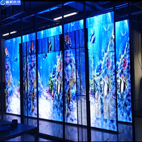 Écran LED transparent fixe d'intérieur Pushunled de haute qualité, 60 % de transparence, luminosité 800 cd/m², mur vidéo pour centre commercial