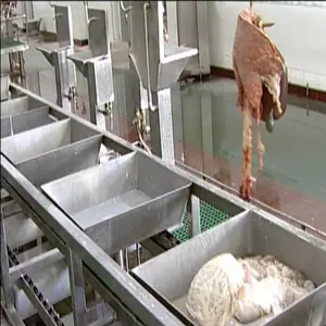 Macchine Halal della linea dell'attrezzatura di macellazione della capra del bestiame per il macello della carne