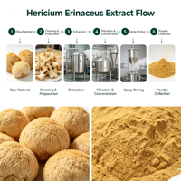 Hericium Erinaceus Extract Poeder Polysacchariden 10%-50% Leeuwenmanenextract Ingrediënt