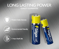 Batterie de télécommande 1.5V AA Marque OEM Cellule sèche LR6 super alcaline