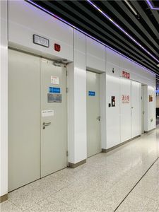 Puerta ignífuga de acero de una sola hoja para escuelas, diseño moderno para UL aprobado - Product Image 4