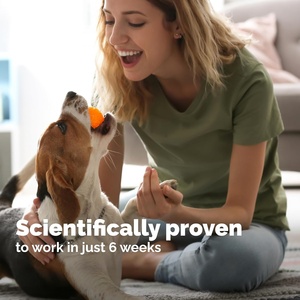 OEM/ODM Marque Privée Friandises à Mâcher Apaisantes pour Chiens Force Maximale Apaisante pour l'Anxiété Occasionnelle Sans Poisson pour Chiens - Product Image 4