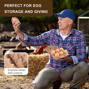 Cartons <span class=keywords><strong>à</strong></span> œufs en papier naturel biodégradables en gros pour poulets, barquettes et boîtes d'emballage réutilisables pour œufs - Product Image 6