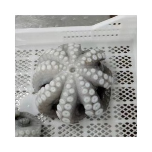 <span class=keywords><strong>Pulpo</strong></span> gigante congelado de alta calidad a buen <span class=keywords><strong>precio</strong></span>, <span class=keywords><strong>pulpo</strong></span> de Perú, <span class=keywords><strong>pulpo</strong></span> <span class=keywords><strong>grande</strong></span> - Product Image 1