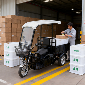 <span class=keywords><strong>Triciclo</strong></span> Eléctrico <span class=keywords><strong>de</strong></span> <span class=keywords><strong>Carga</strong></span> <span class=keywords><strong>de</strong></span> 72V 32A 2000W, Motocicletas Eléctricas <span class=keywords><strong>de</strong></span> 3 Ruedas para Transporte <span class=keywords><strong>de</strong></span> <span class=keywords><strong>Carga</strong></span> - Product Image 2