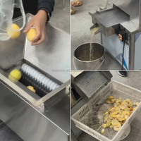 Machine commerciale de presse-agrumes de grenade de limonade d'agrumes Machine automatique de presse-agrumes de chaux de calamansi d'orange pour l'usage de restaurant