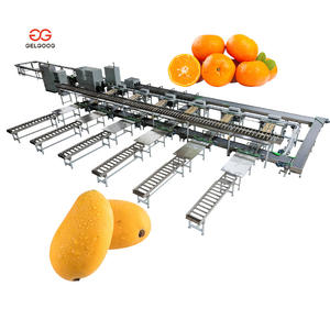 آلة فرز وتصنيف وتعبئة المانجو الأوتوماتيكية حسب الوزن، معدات تصنيف التفاح للبيع - Product Image 3