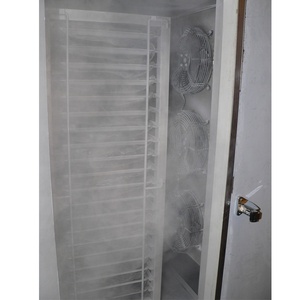 Tunnel de réfrigérateurs de crème glacée Congélateur à viande - Product Image 3