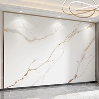 Panneau en placage de fibre de charbon de bambou, panneau mural en marbre brillant, panneau mural décoratif intérieur en PVC pour gymnases, écoles, hôpitaux