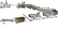 Machine extrudeuse pour la fabrication de chips de riz au goût de fromage rôti au four, ligne de production de chips de riz et de craquelins