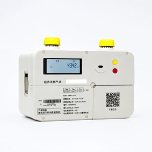 Compteur de gaz à ultrasons (usage commercial) en acier inoxydable et alliage d'aluminium, <span class=keywords><strong>débit</strong></span> 3~7m/s, plage de <span class=keywords><strong>mesure</strong></span> 0,25~40Nm/h, garantie 1 an - Product Image 4