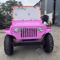 Mini Jeep Dune Buggy électrique/à essence 2 places homologué pour la route Transmission automatique Garantie de 2 ans