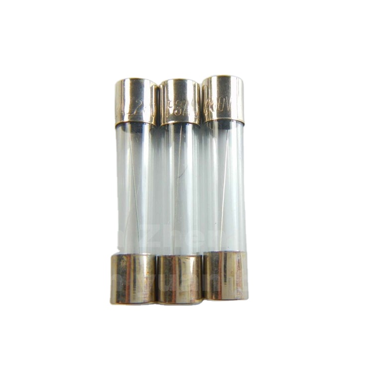 NESHO Fusible 5x25mm 100 Piezas Fusible De Tubo De Vidrio Flink Kits