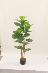 ต้นไวโอลินพลาสติก JWS3935 ใบเต็ม ต้นไม้ประดิษฐ์รักษ์โลก คุณภาพสูง ตกแต่งภูมิทัศน์ ขนาดปรับแต่งได้ สำหรับ<span class=keywords><strong>บ้าน</strong></span> สำนักงาน ภายในและภายนอกอาคาร - Product Image 2