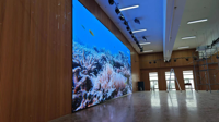 Paneles de Video LED para Interiores Xxc, 4K HD, P1.25/P1.53/P1.86/P2/P2.5, Alto Brillo, HDR10, 3840Hz, Color Completo