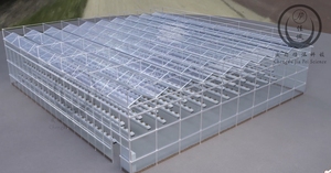 Jiapei Factory One Stop Solution Invernadero Sistema de elevación de <span class=keywords><strong>fresas</strong></span> Invernadero automático agrícola inteligente - Product Image 3