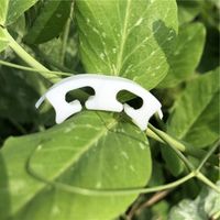Clips de plástico para Injerto de tomate para invernadero, nuevos clips redondos de soporte para armadura de plantas, Clips de tomate de arco biodegradables