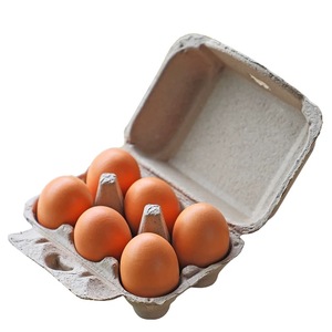 Boîtes vides réutilisables en cartons <span class=keywords><strong>d</strong></span>'œufs en pâte de papier naturel Conteneurs porte-œufs Boîtes <span class=keywords><strong>d</strong></span>'emballage pour œufs de poule frais - Product Image 3