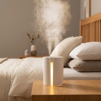 Mini humidificateur Portable Rechargeable par Nano USB, humidificateur hydratant à brume fraîche avec veilleuse