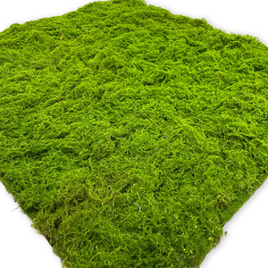โรงงานจีนขายส่งหญ้าเทียมน้ำหนักเบาเป็นมิตรกับสิ่งแวดล้อม ผ้ามอสเทียมคุณภาพสูง ใช้ได้ทั้งภายในและภายนอกอาคาร - Product Image 4