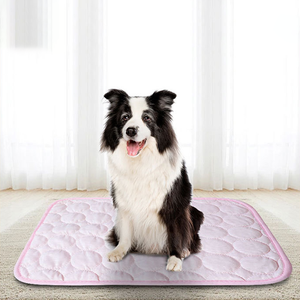 2025 Neu Heißer Verkauf Sommer Moderne Umweltfreundliche Wasserdichte Haustier-Kühlmatte Eisseide Atmungsaktive Katzen- und Hundematte Rutschfest Quadratisch - Product Image 4