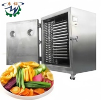 Zhuoyu RVS Voedsel Vacuüm Vriesdroger Hoge Efficiëntie Directe Productie Thee Droogmachine